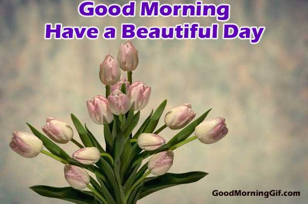 Beautiful Good Morning Images with Flowers for Whatsapp