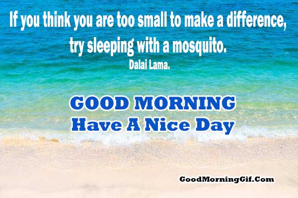 Featured image of post Small Thought Of The Day With Meaning - Quotes › authors › d › dalai lama › just one small positive thought in.