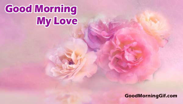 Best Good Morning Wishes With Pink Flower