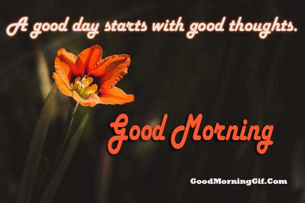 Best Quotes On Good Morning