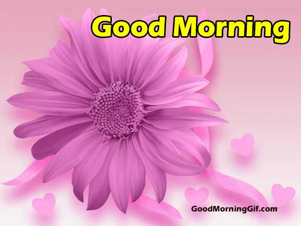 Fresh Flowers of Morning For Your Love