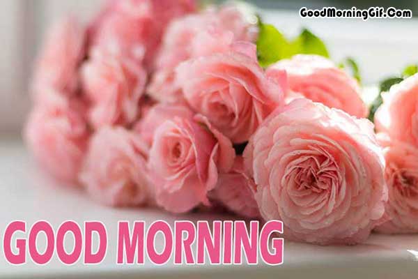 Good Morning Flower Pic