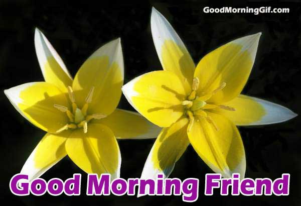 Good Morning Images of Flowers