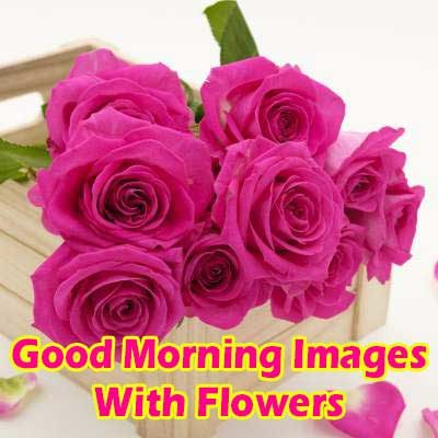 Good Morning Images With Flowers Good Morning Wishes