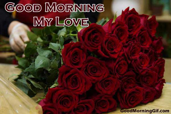 Good Morning Red Rose HD Wallpaper