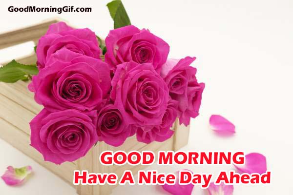 Images of Flowers with Good Morning Wishes