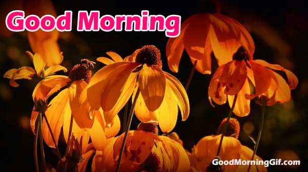 Images of Good Morning with Flowers