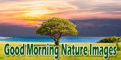 Good Morning Nature Images