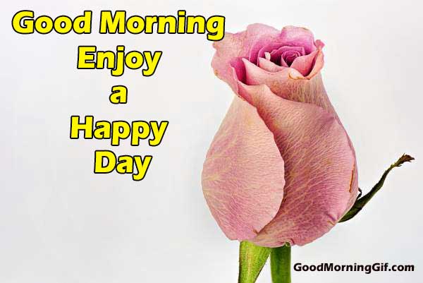 Nice Good Morning Flower Image