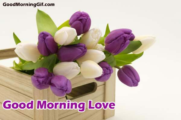 Good Morning Flower Images