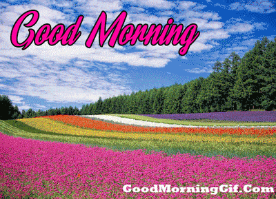 Good Morning Gif Images Download