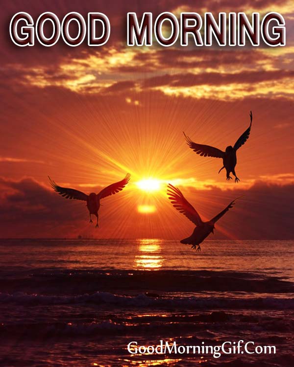 Good Morning Sunrise Images