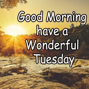 Happy Tuesday Good Morning Image For WhatsApp, Facebook, Pinterest